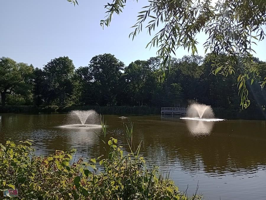 Staw w Ołtarzewie