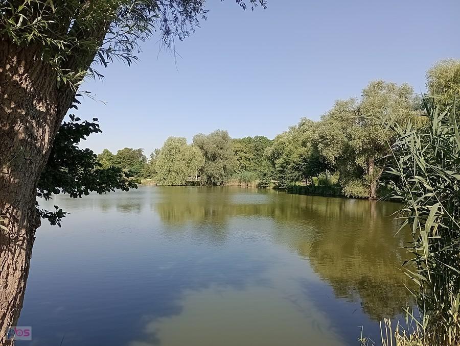 Staw w Zielonkach