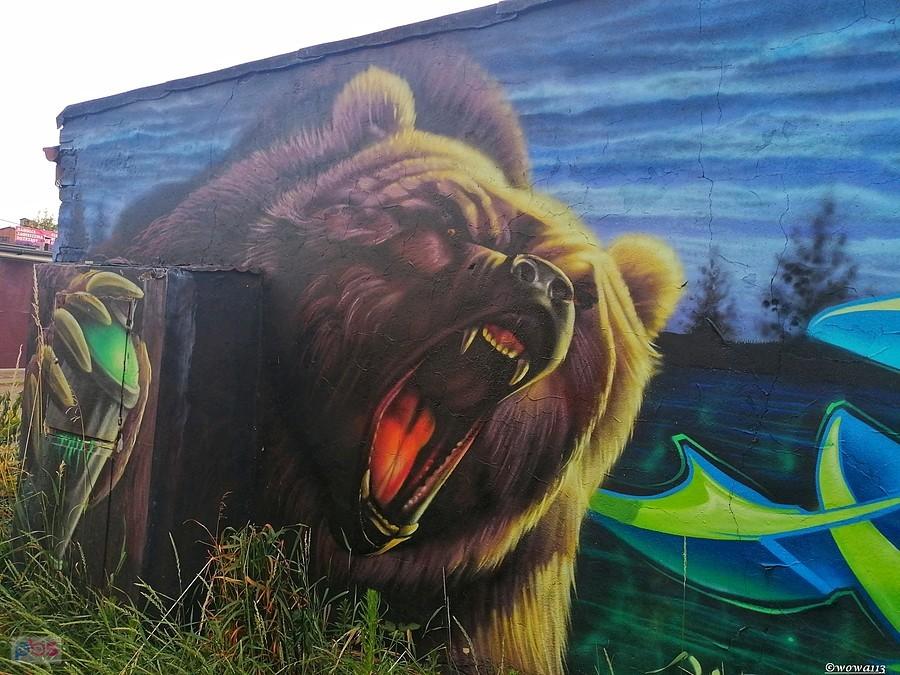 Grizzly w Bytomiu