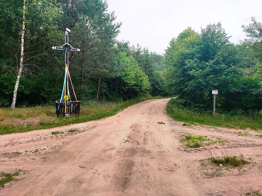 Skrzyżowane leśne