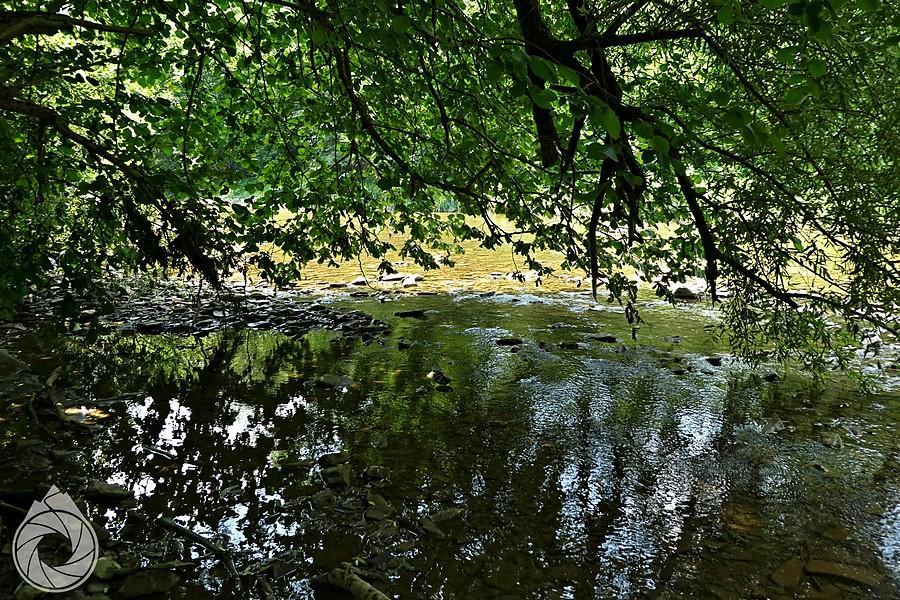 chłód w gorący dzień nad Wisłokiem
