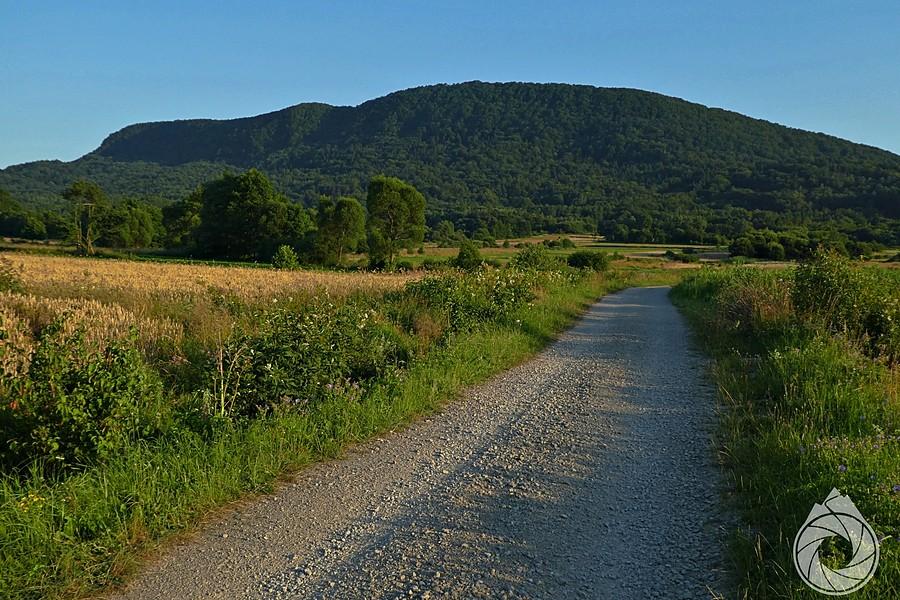 szutrówka pod Cergową