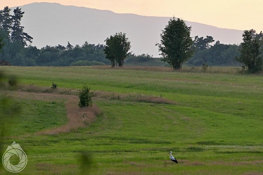 pociek na kolacji z Babią w tle