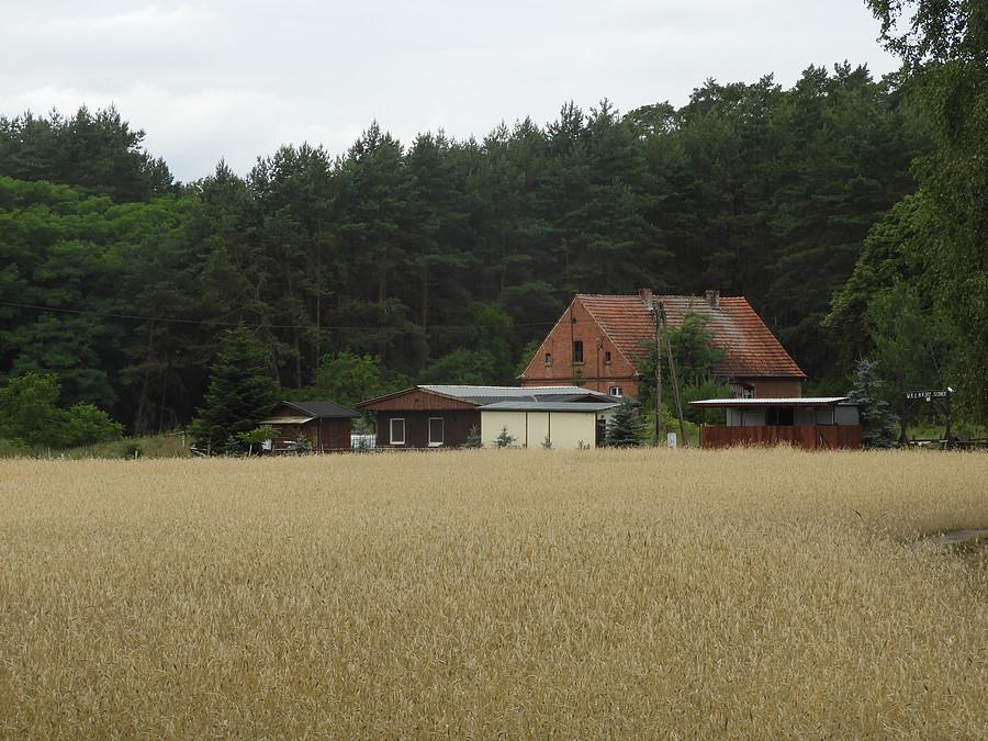 Gdzieś pod lasem.