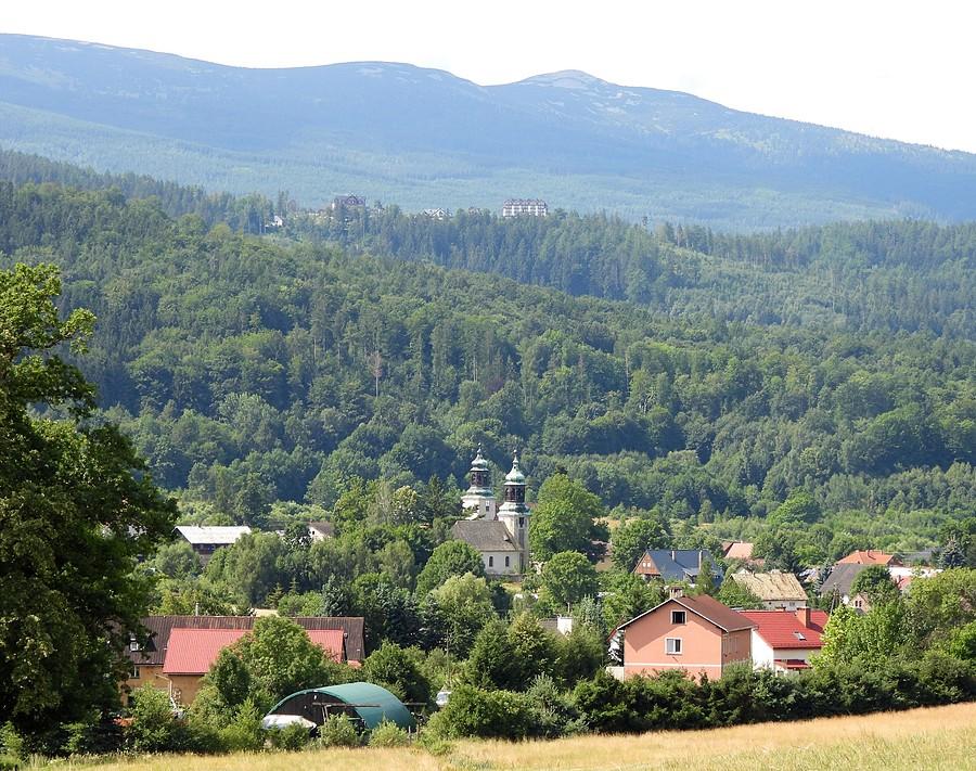 Sosnówka z górki