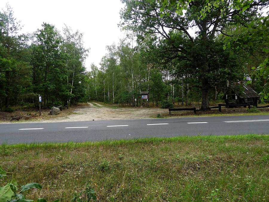 W drodze do Dobieszczyna.