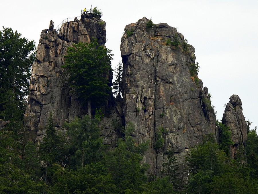 Sokoliki w zbliżeniu