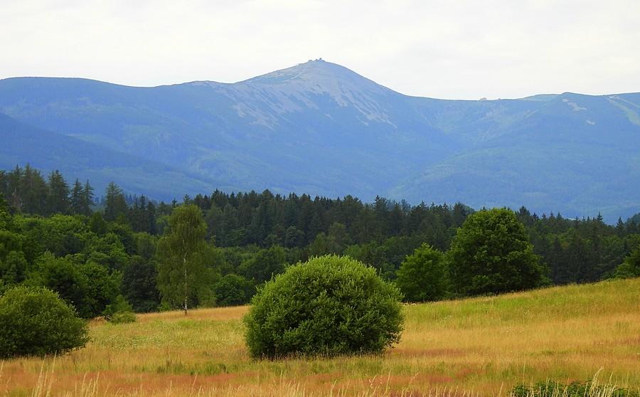 Śnieżka widziana z Karpnik