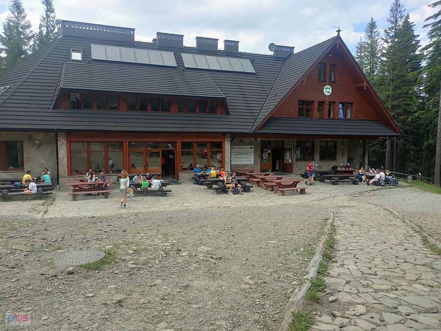 Przerwa w schronisku