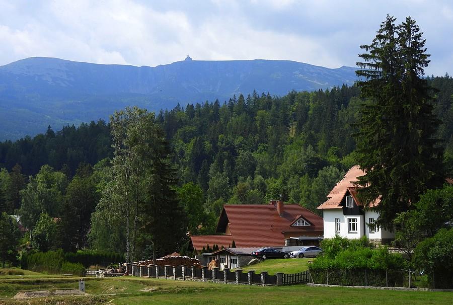 Wyzoomowane Michałowice