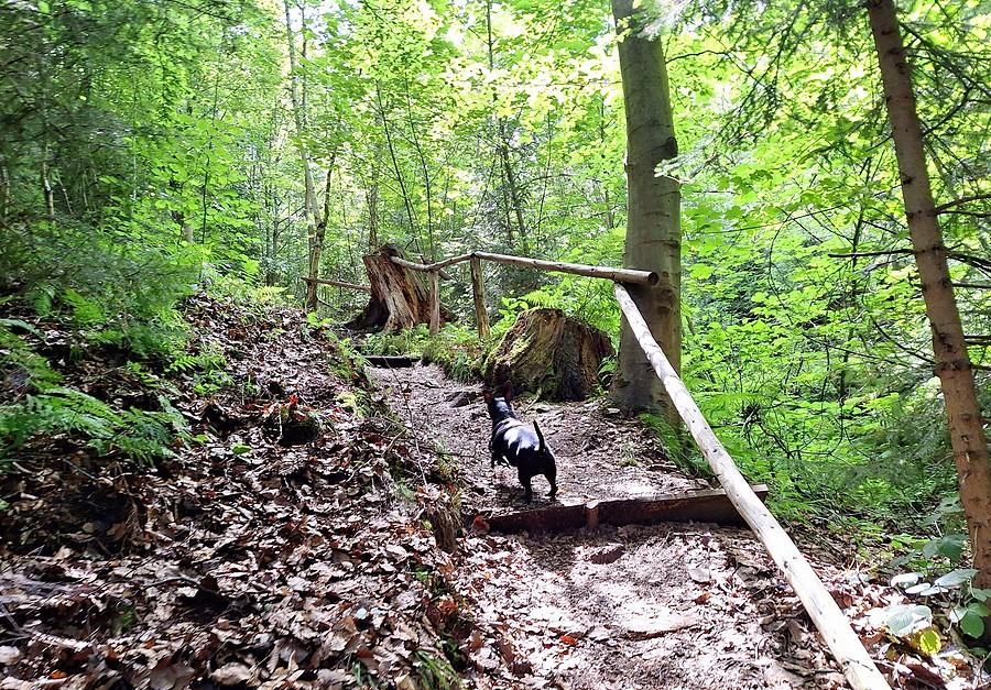 Kropa podczas wspinaczki