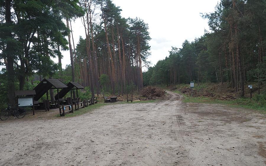 Będzie kolejna droga w Puszczy Noteckiej