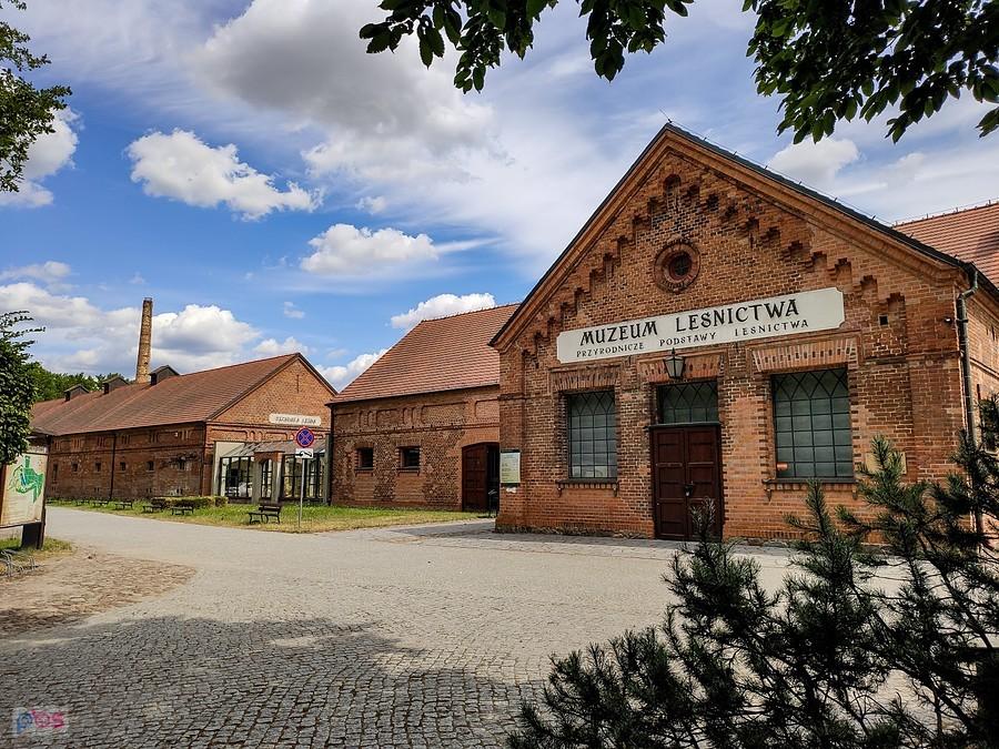 Gołuchów - Muzeum Leśnictwa