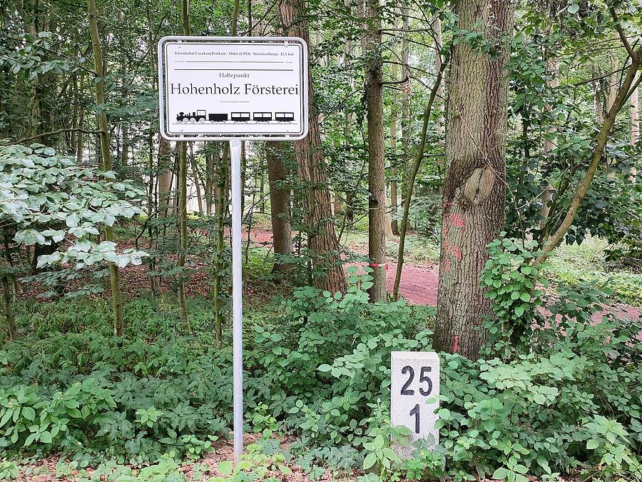 Las w Hohenholz