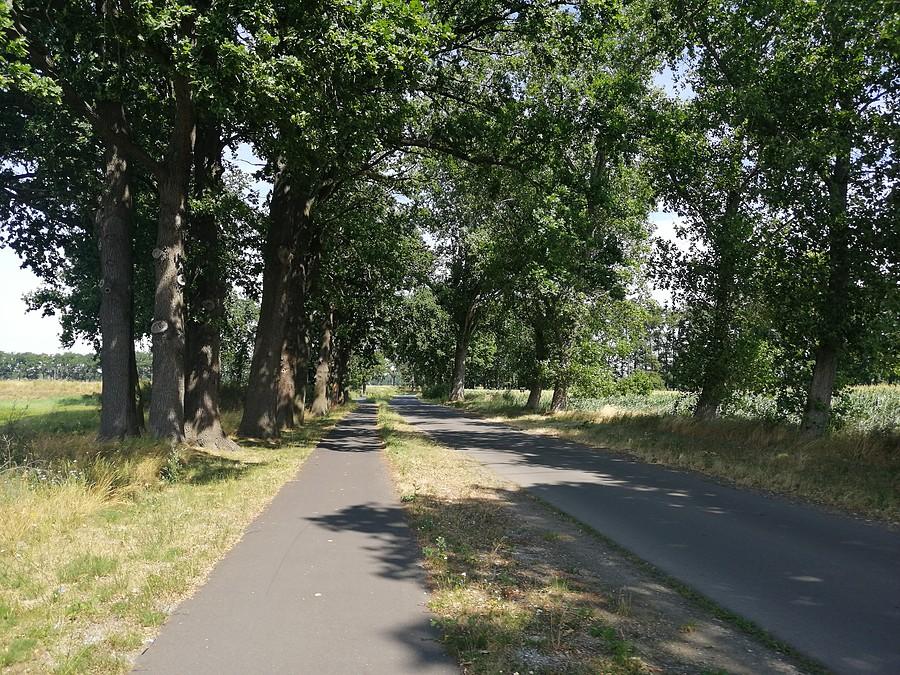 Ścieżka do Żmigrodu.