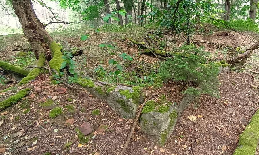 Resztki fundamentów Wilhelmsthal