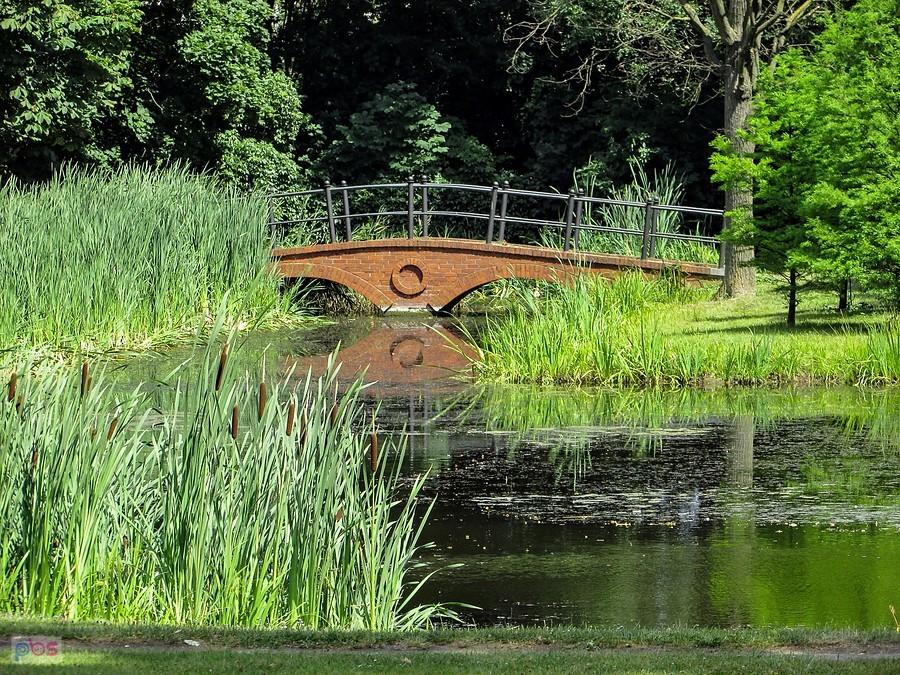 Park w Dobrzycy - mostek na stawie