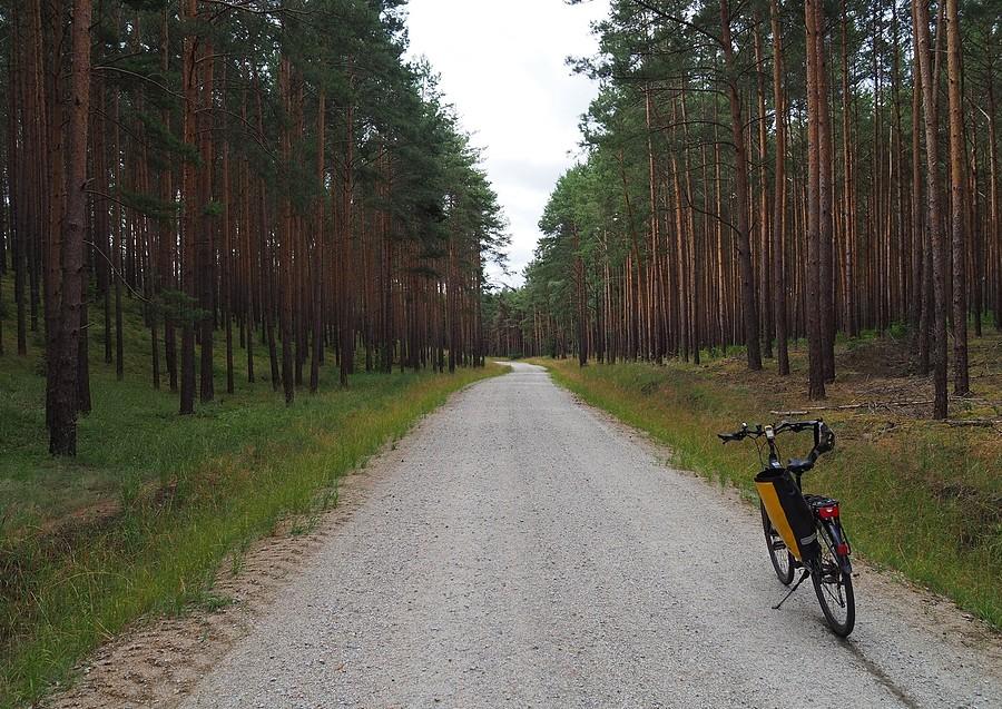 Szutrówka z Jeziora Głębiniec do Prochowca