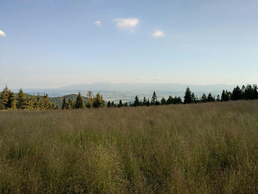 Widok na Tatry