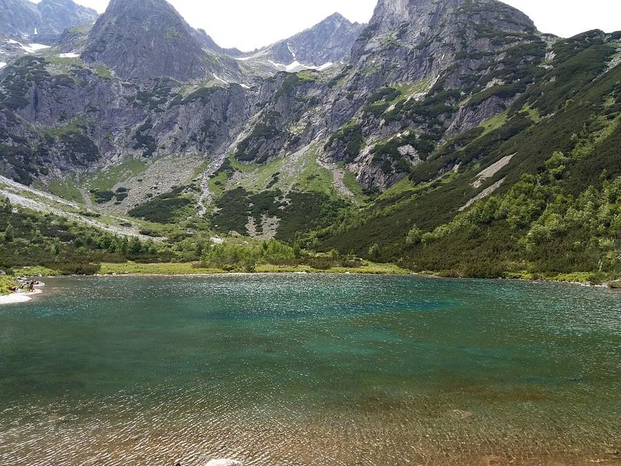 Zielony Staw