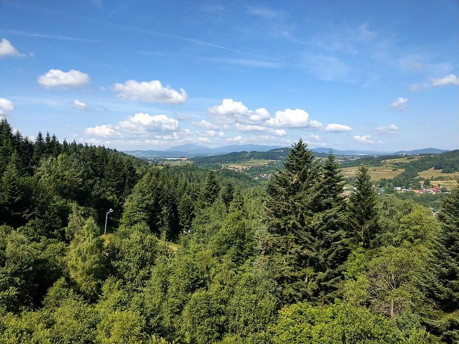 Widok z wieży na Królewskiej Górze