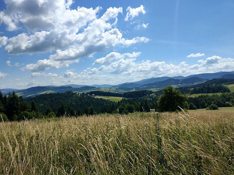 Widoczek po drodze