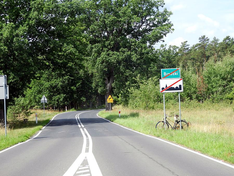 W drodze do Brzózek.