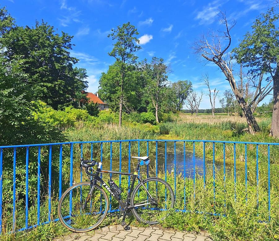 Rowerówka z Trzcielina