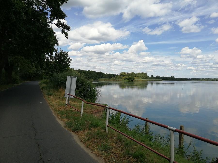 Staw Jamnik.