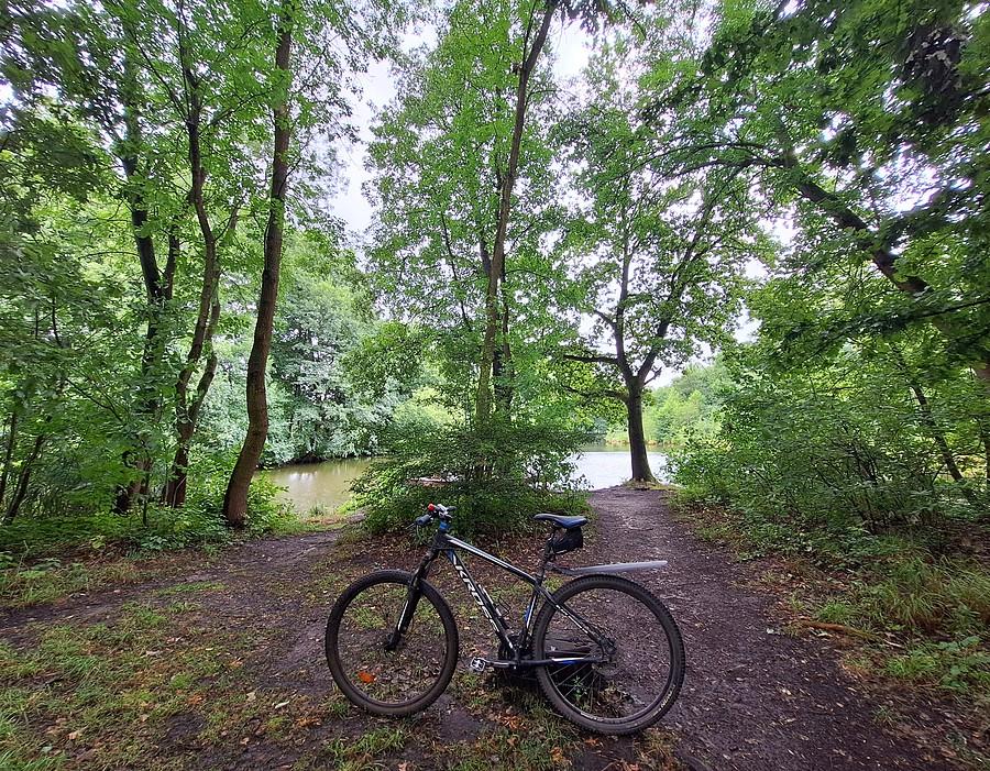 MTB-owo po Dębinie