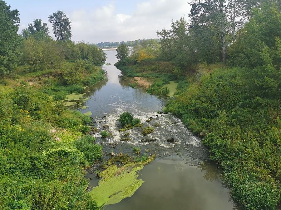 Ujście Jeziorki do Wisły - widok z mostu w Obórkach, w sobotni poranek