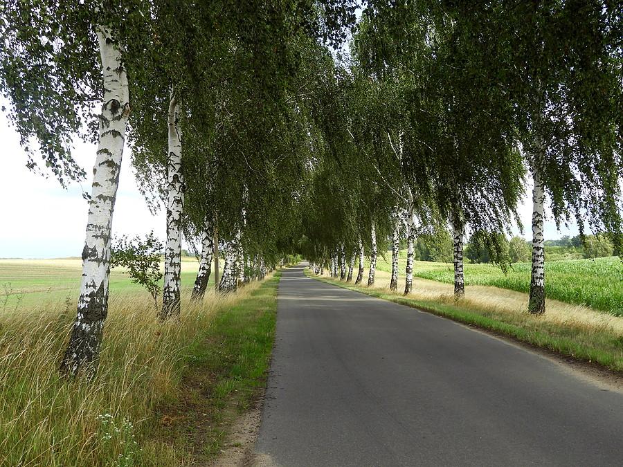 Pod miejscowością Bismark.