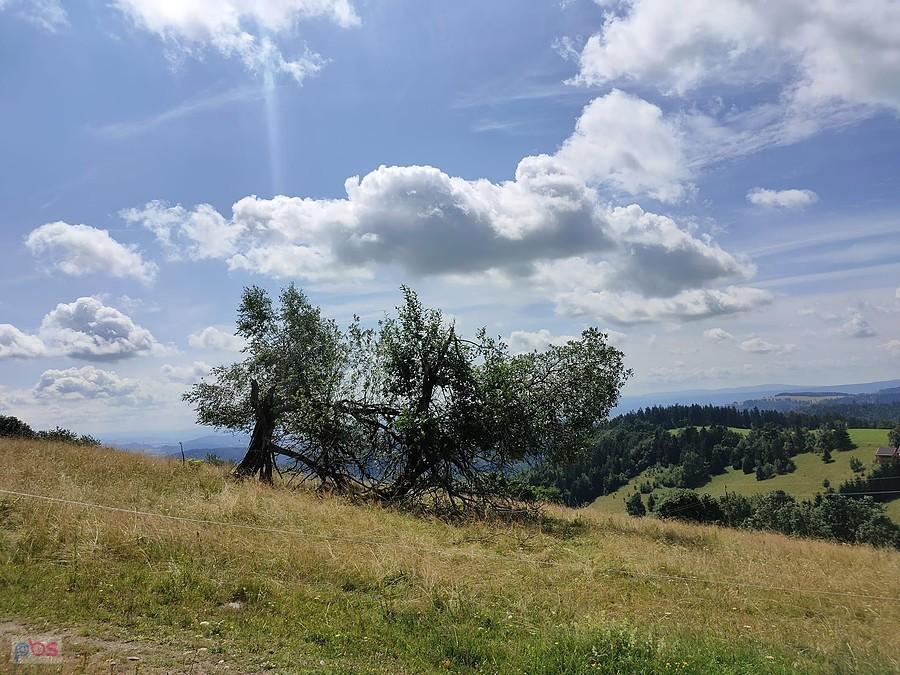 Po drodze na Wielką Sowę