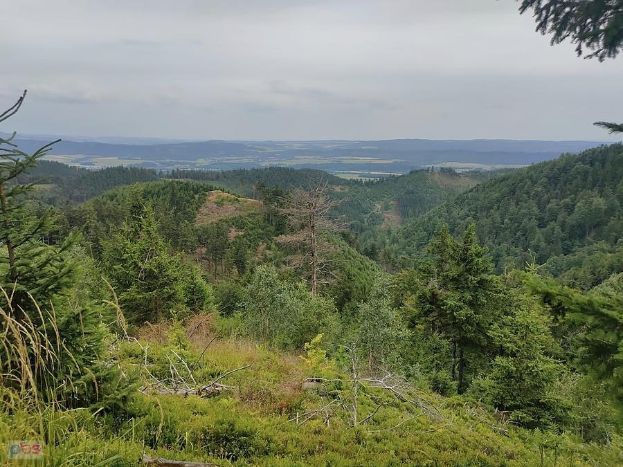 Widok na góry