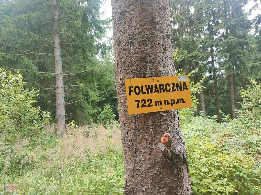 Folwarczna