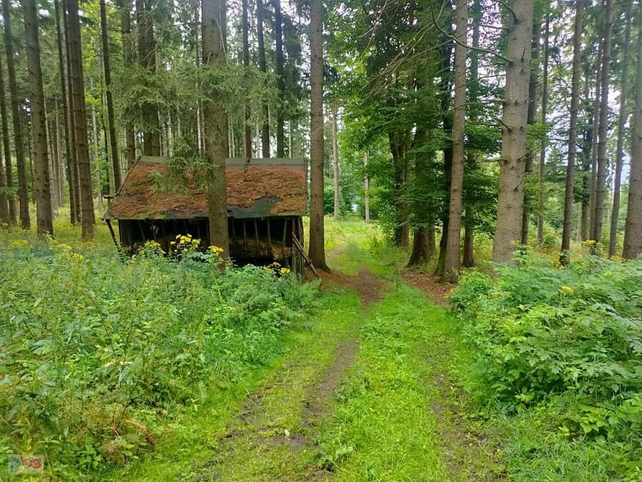 Paśnik