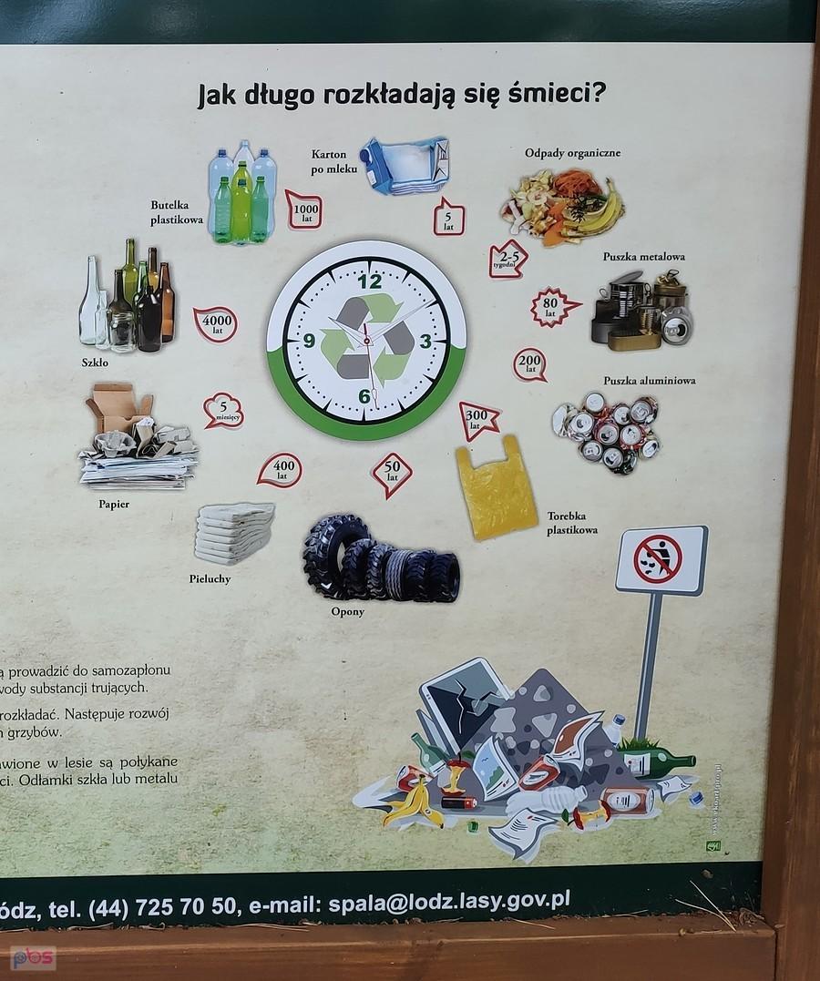 A jednak browarek w puszce najprzyjaźniejszy dla natury
