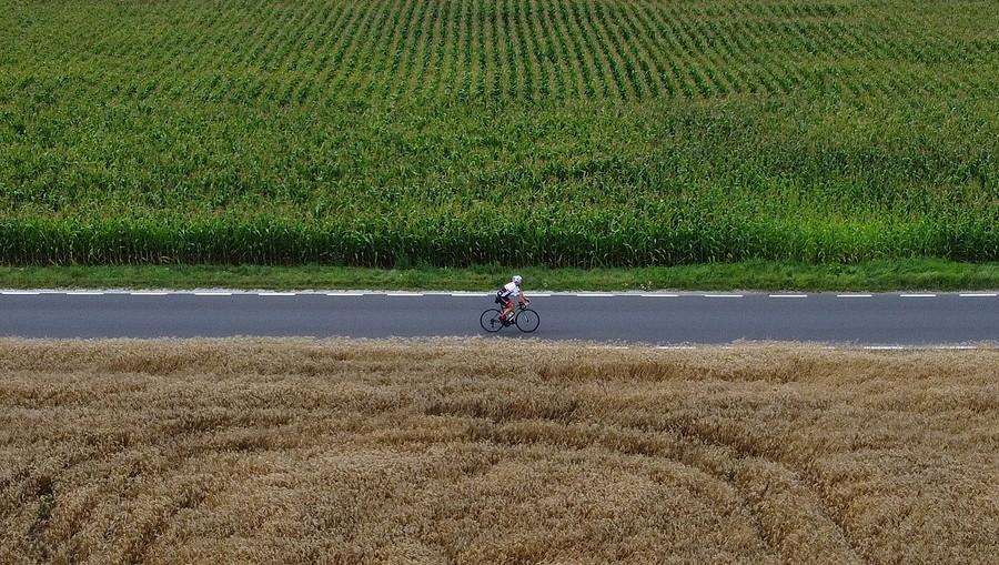 Na mej trasie domiowały pszenniczo-kukurydziane klimaty (by dron)