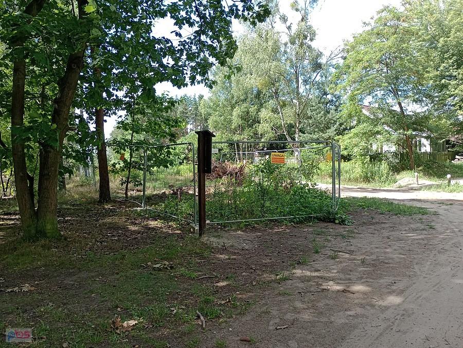 Coś drgnęło przy leśnej drodze. Ogrodzili na skrzyżowaniu wykarczowany fragment