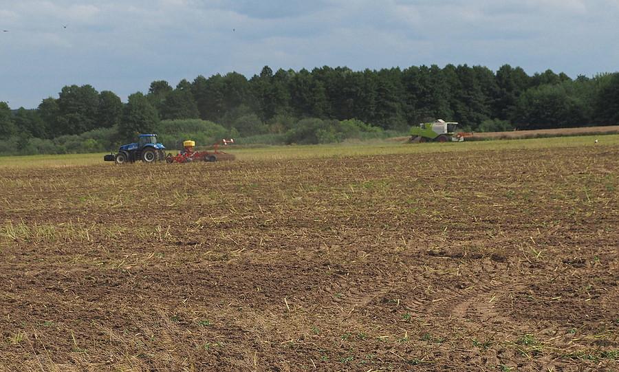 W polach pod Krasnym Dłuskiem