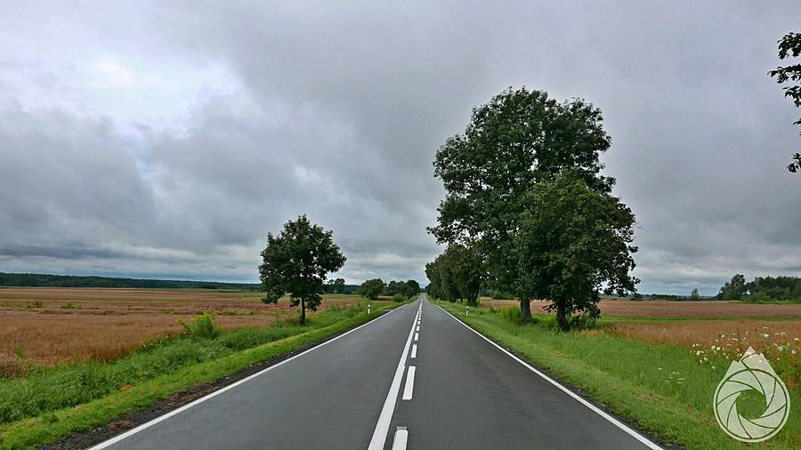 trochę bardziej suche poranne asfalty za Narolem