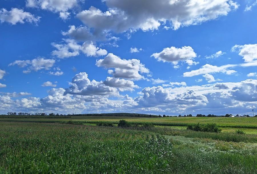 Wielkopolski landszaft