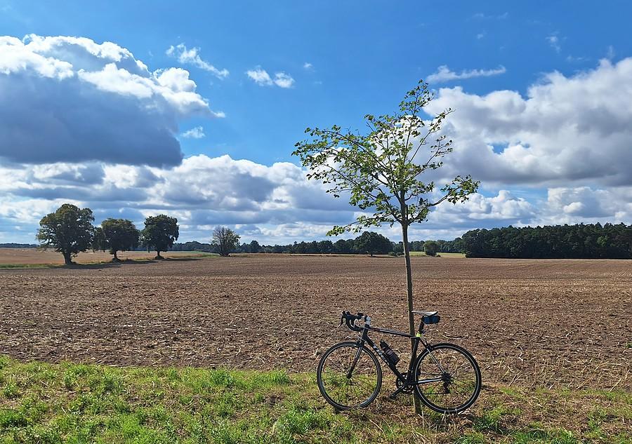Pod drzewkiem i chmurką