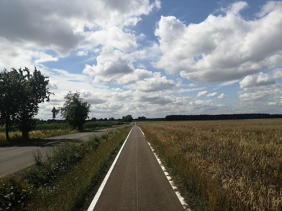 Długa prosta.
