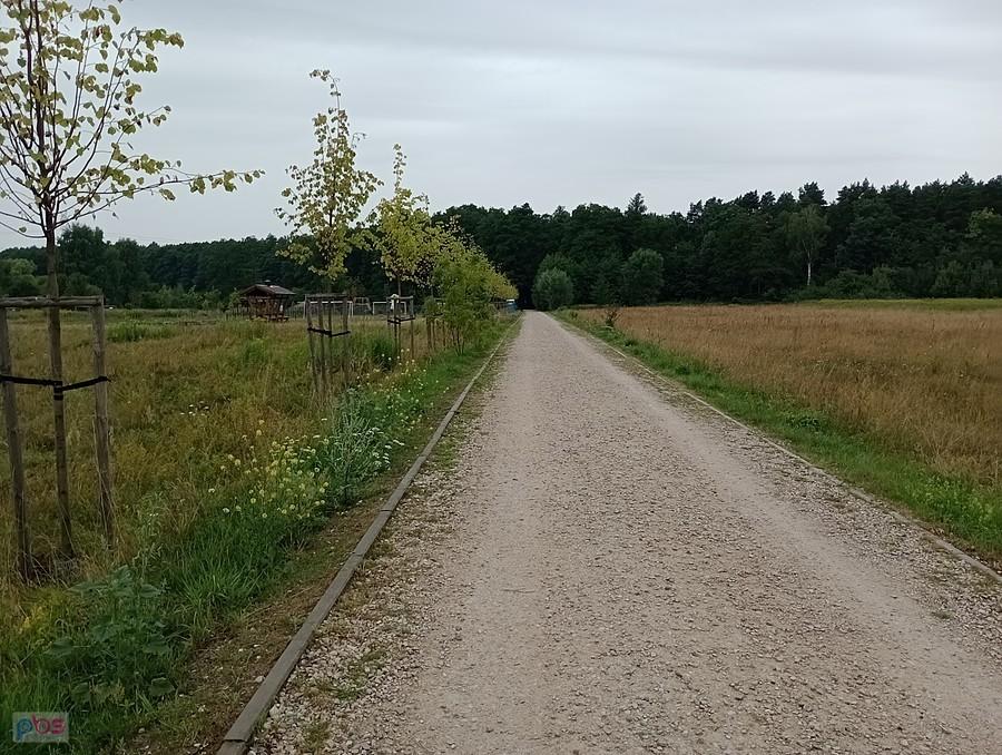 Droga spacerowo- rowerowa z Janowa do Klaudyna