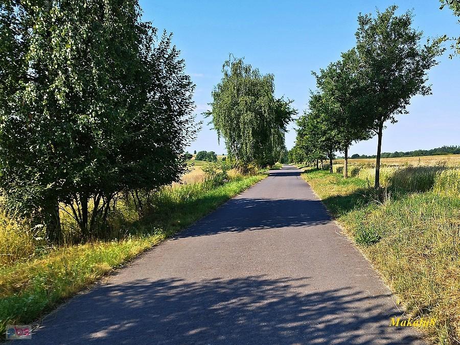 Strachovice
