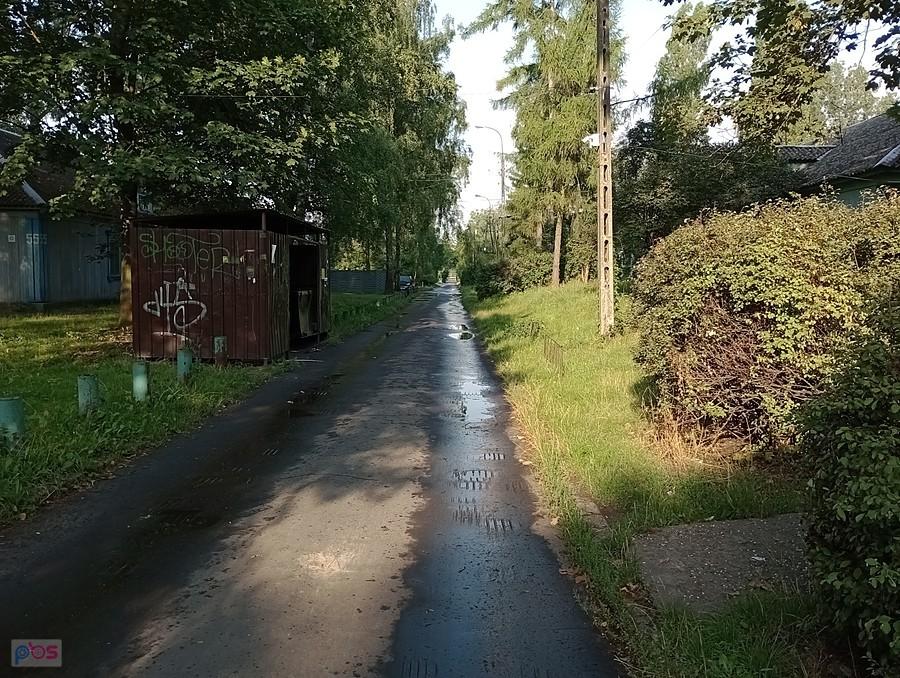 Słoneczny poranek