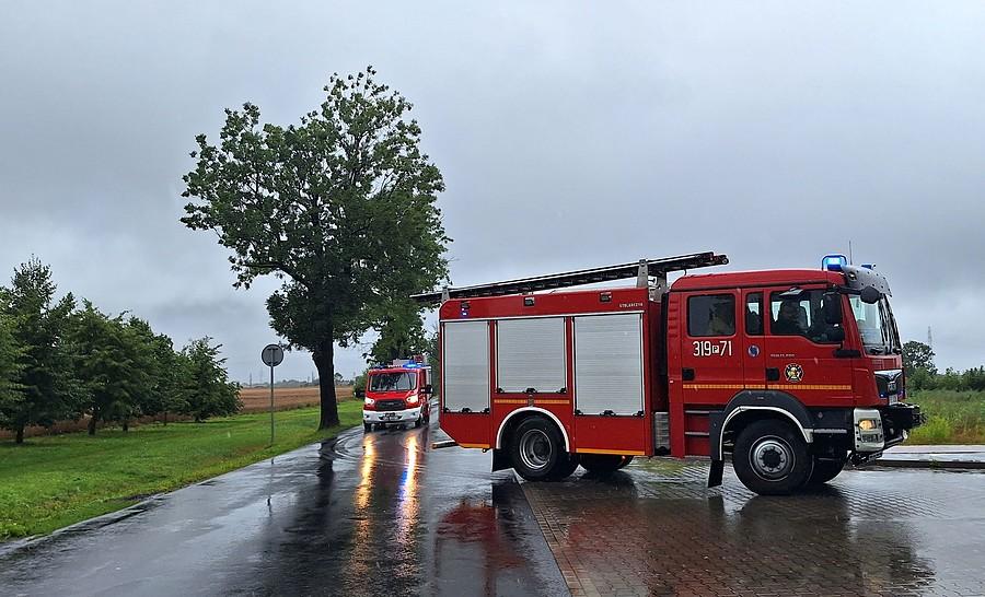 Dzisiaj to najczęściej widziane wozy w okolicach Poznania