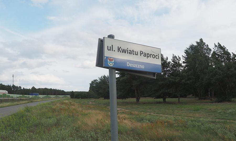 Jak widać droga do lasu