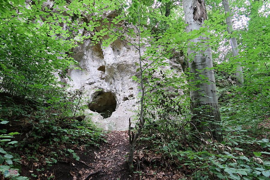 Nyża skalna